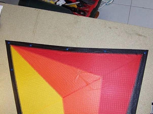A wing fixed with tacks.