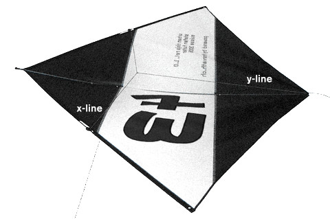 Back view with X-Line and Y-Line